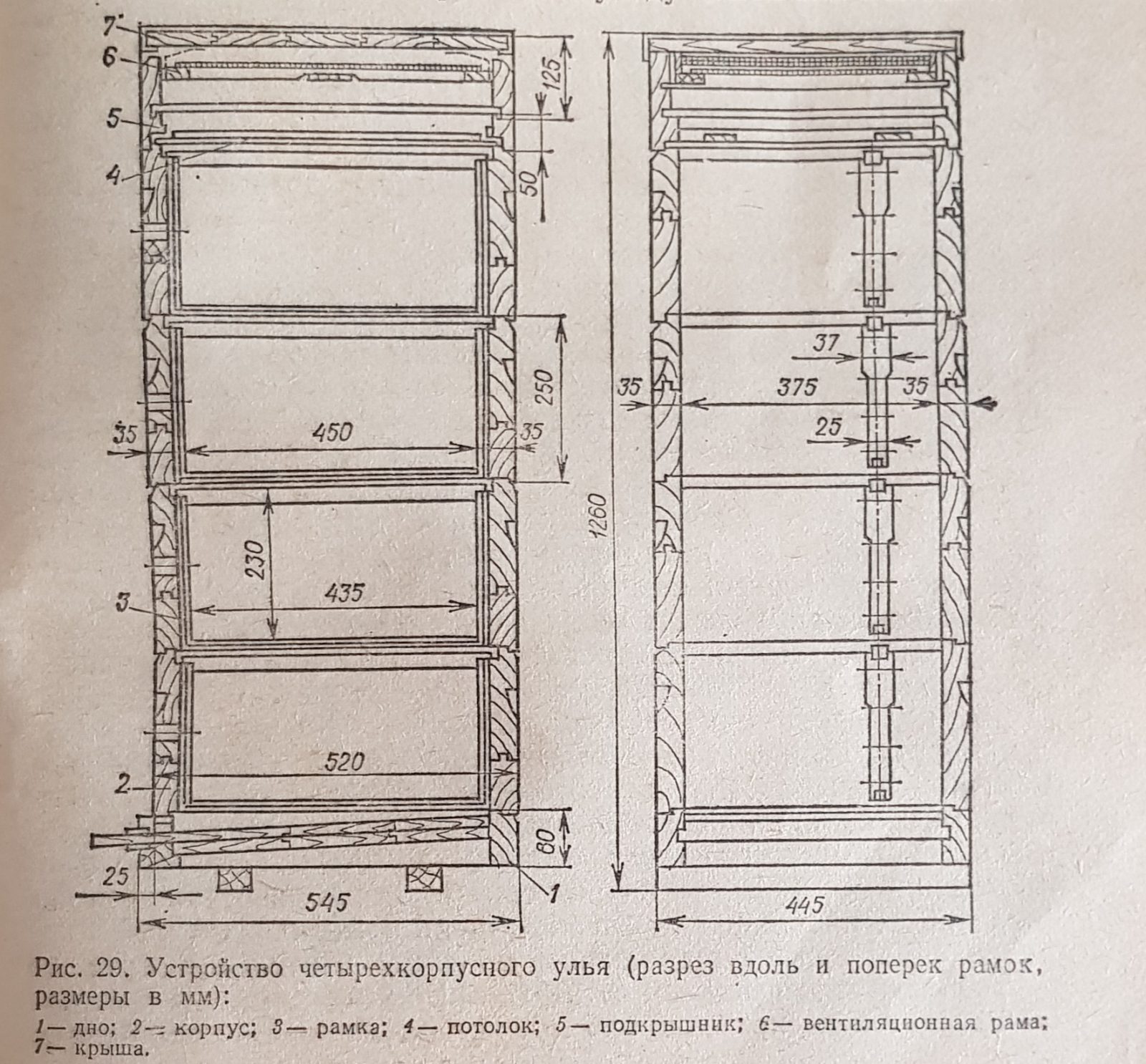 Улей рута чертеж