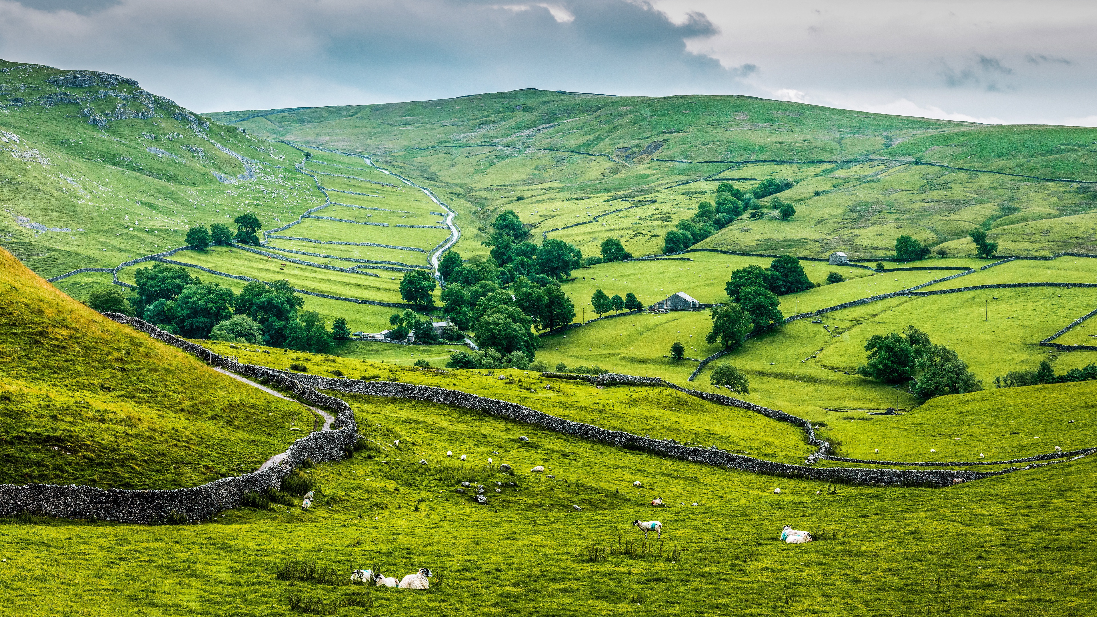 Парк Yorkshire ландшафта Англии