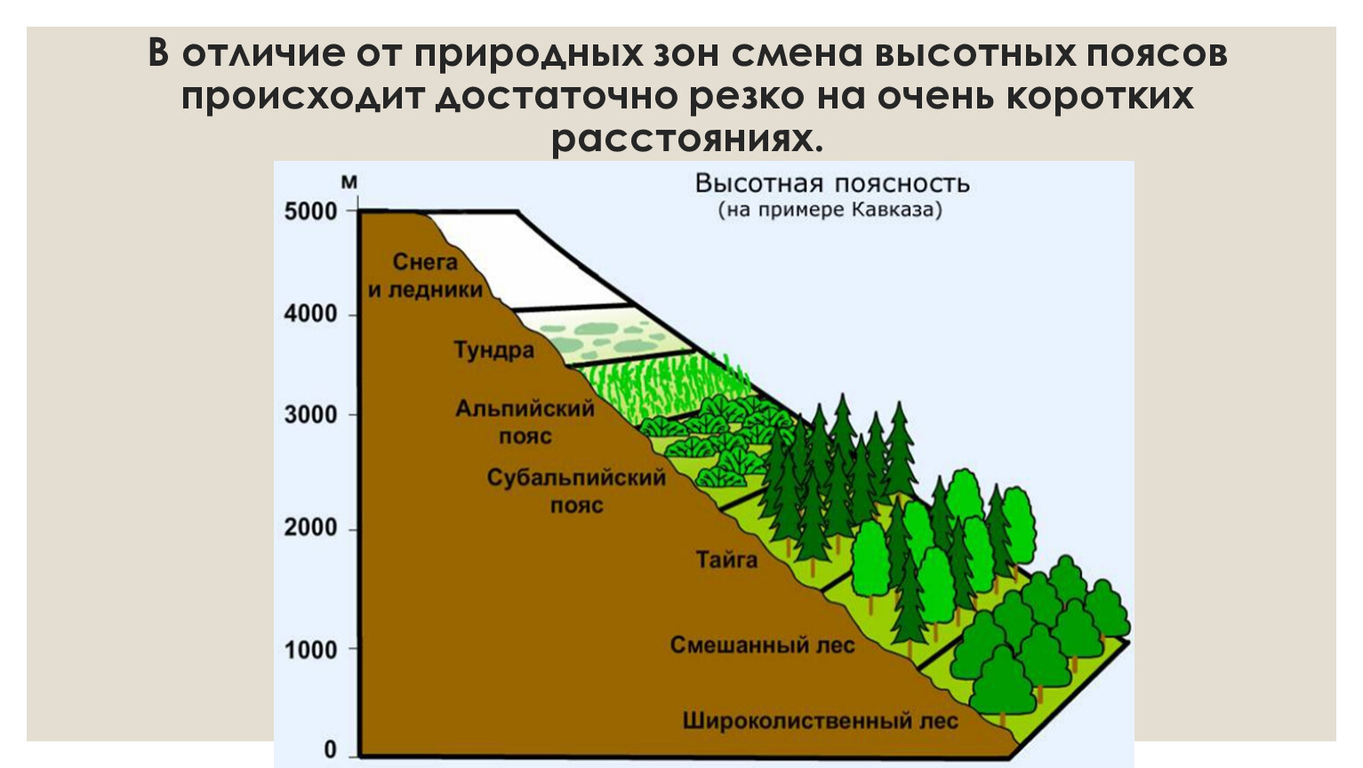 Высотная зональность Кавказа